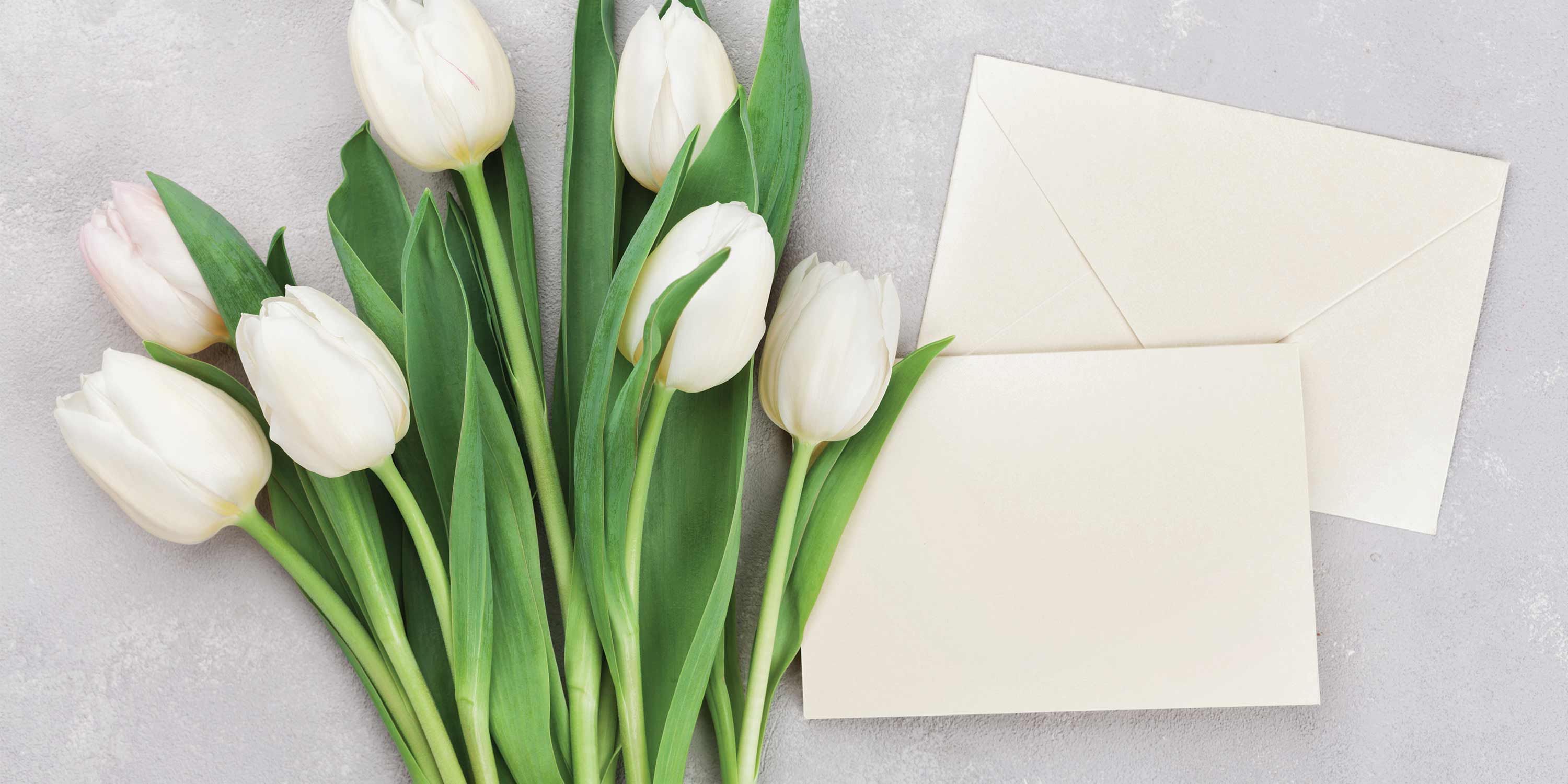 What to Write in a Birthday Card: Messages and Wishes