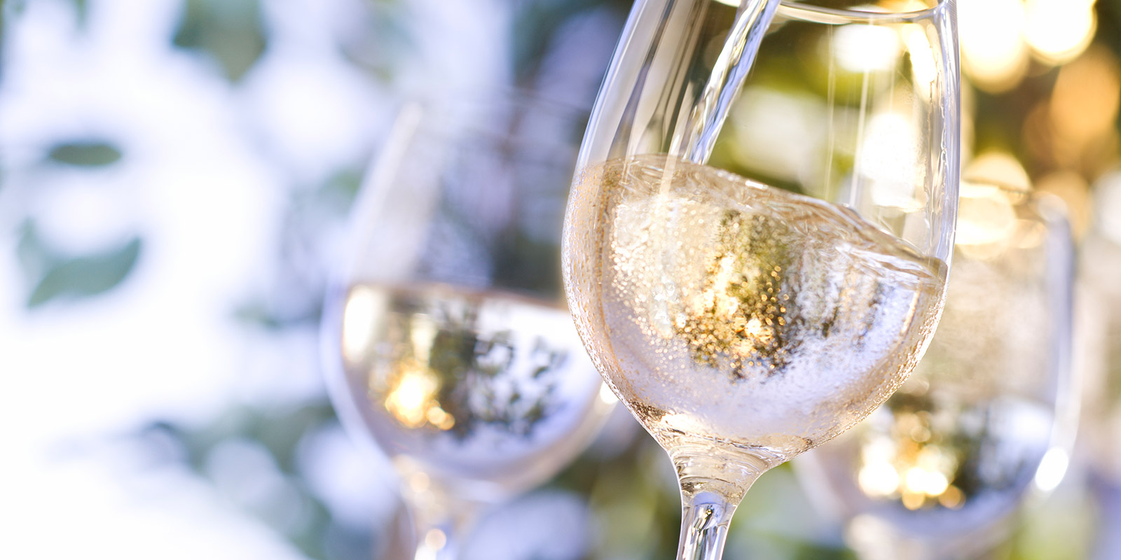 The Ultimate Guide to Hosting a Wine Tasting Party