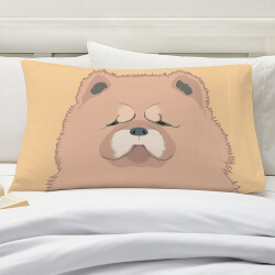 Shop Pillowcases