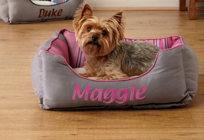 Practical Gifts for Your Puppy's First Birthday