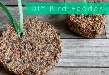 Tweet! Tweet! Easy DIY Bird Feeder