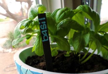 Easy & Fun Spring DIY: Chalkboard Garden Markers