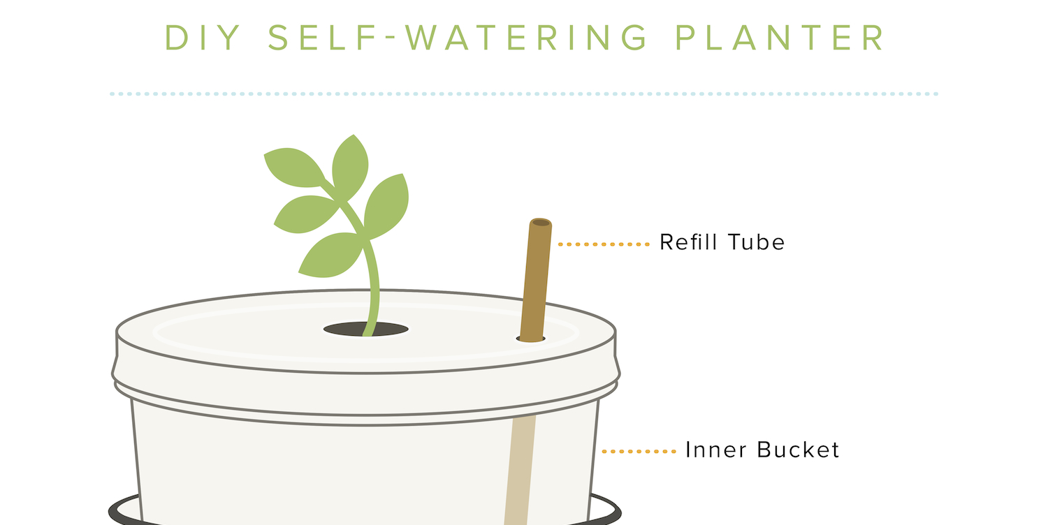 DIY Home Gardening