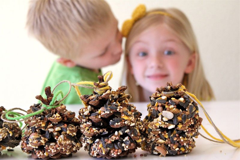 5 minute bird feeder