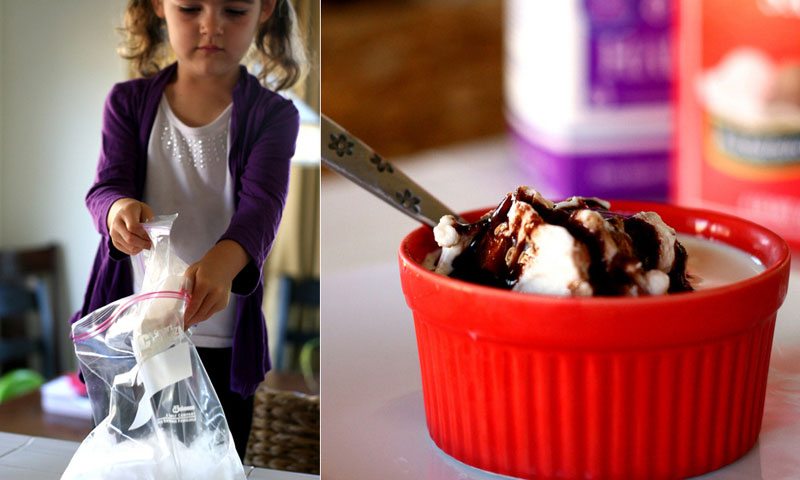 ice cream in a bag