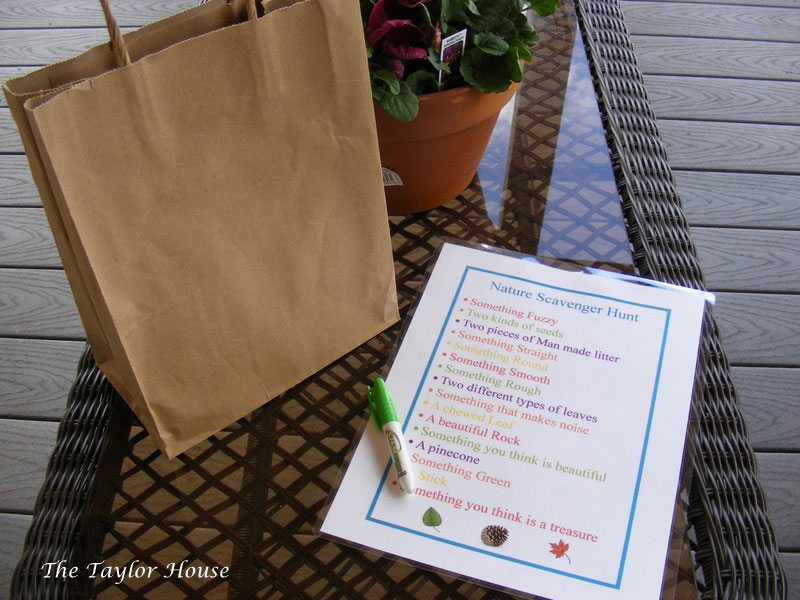 nature scavenger hunt