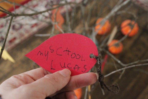 paper leaf