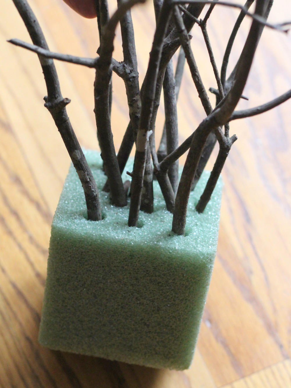sticks in a sponge base