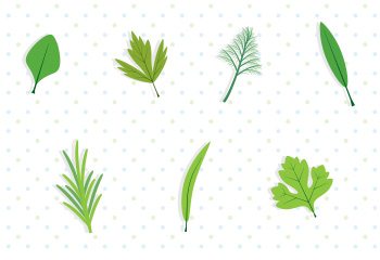 The Essential Herb & Food Pairing Guide