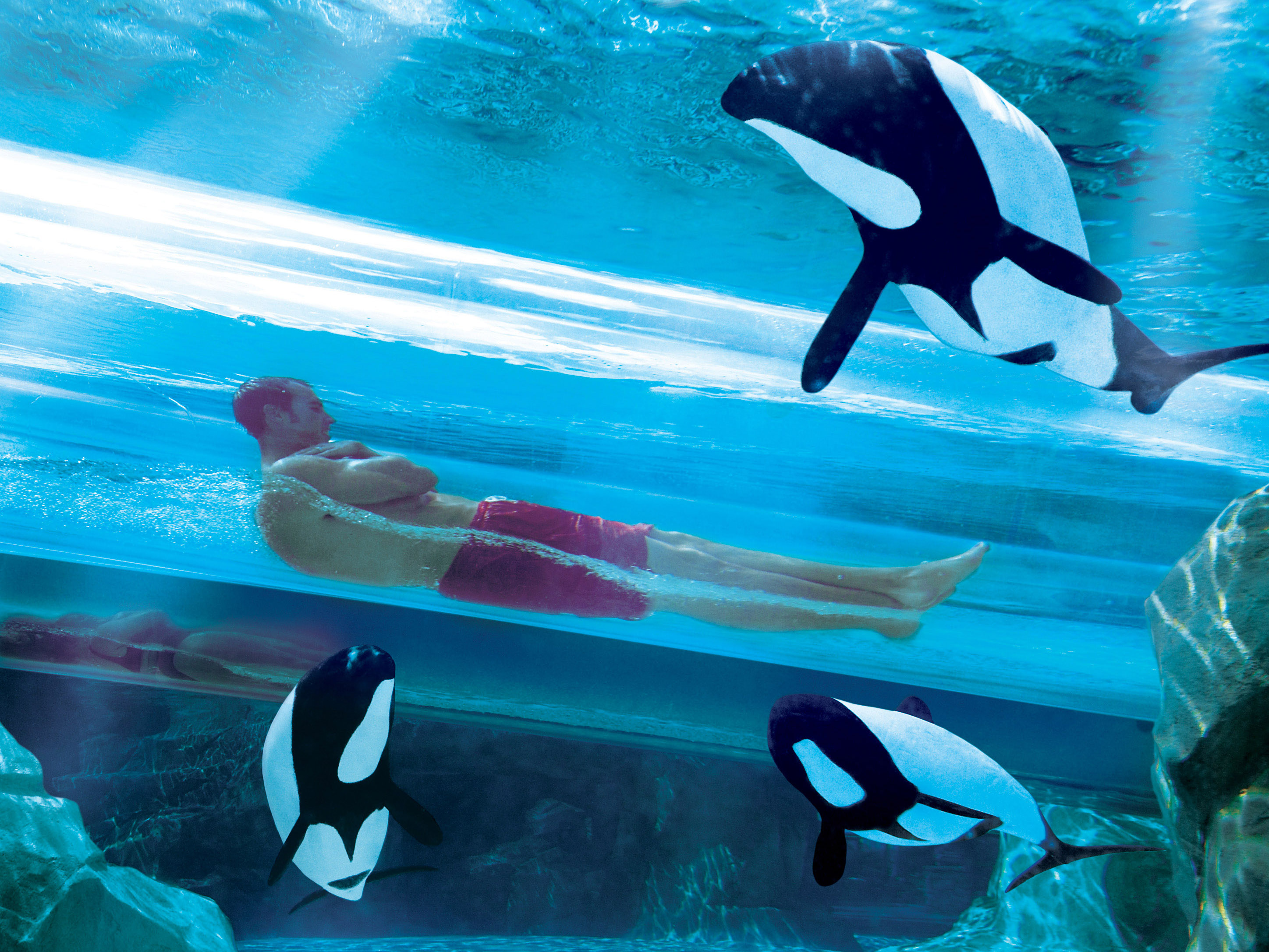 Aquatica Seaworld Orlando
