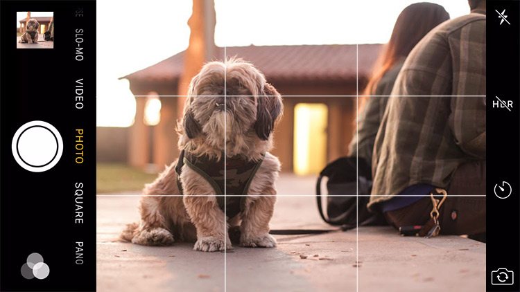 iPhone's onscreen grid for rule of thirds