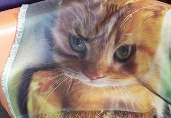 Celebrating a Purr-fect National Cat Day