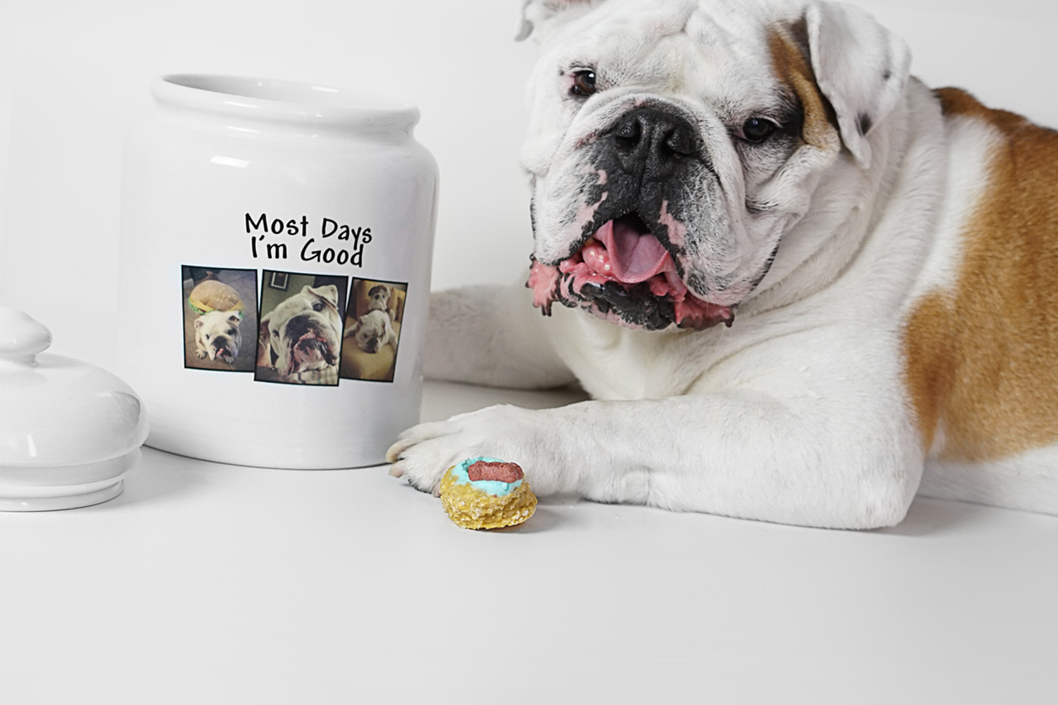 26 Easy-to-Make Dog Treats For Your Furry Best Friend