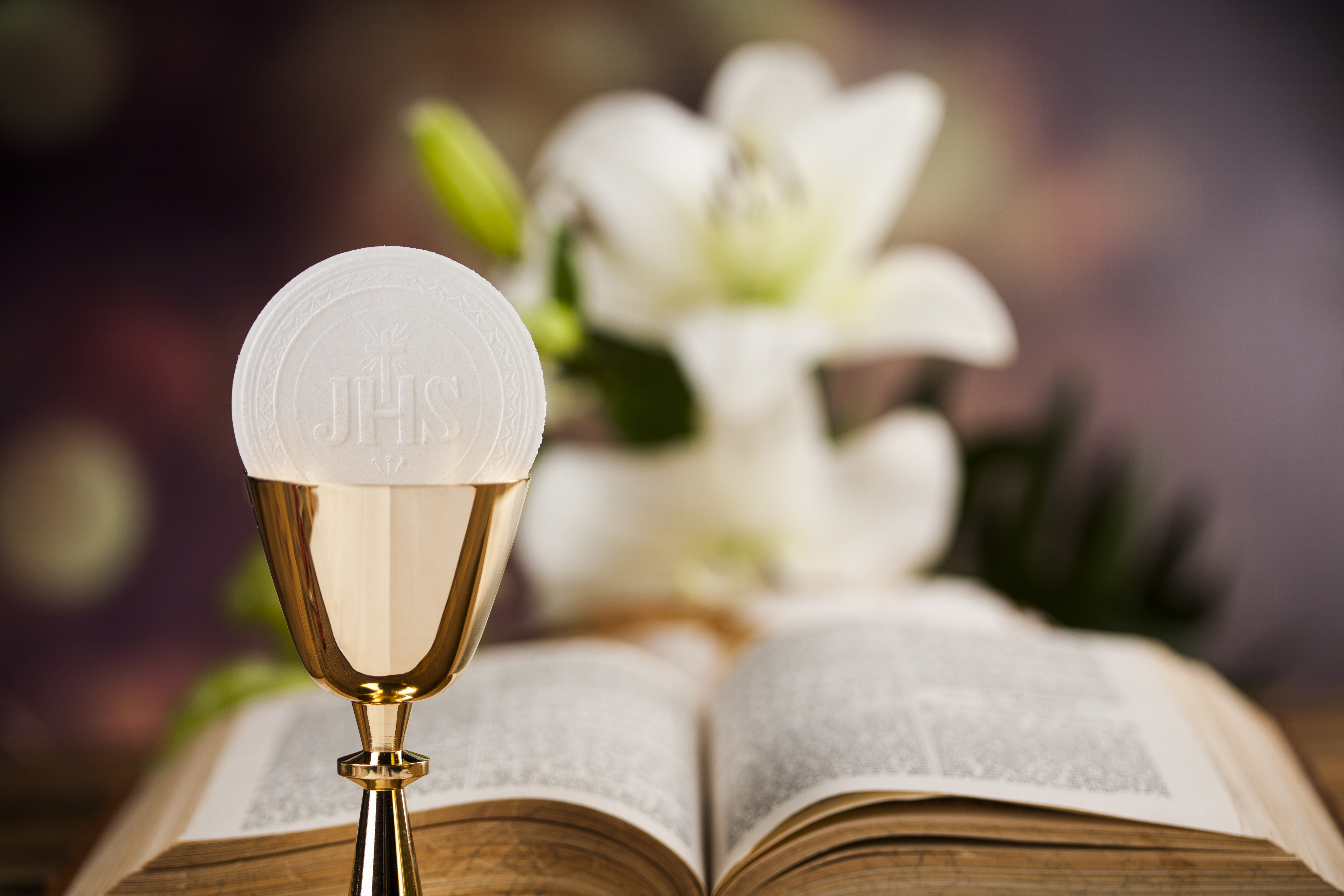 The Seven Sacraments of the Catholic Church