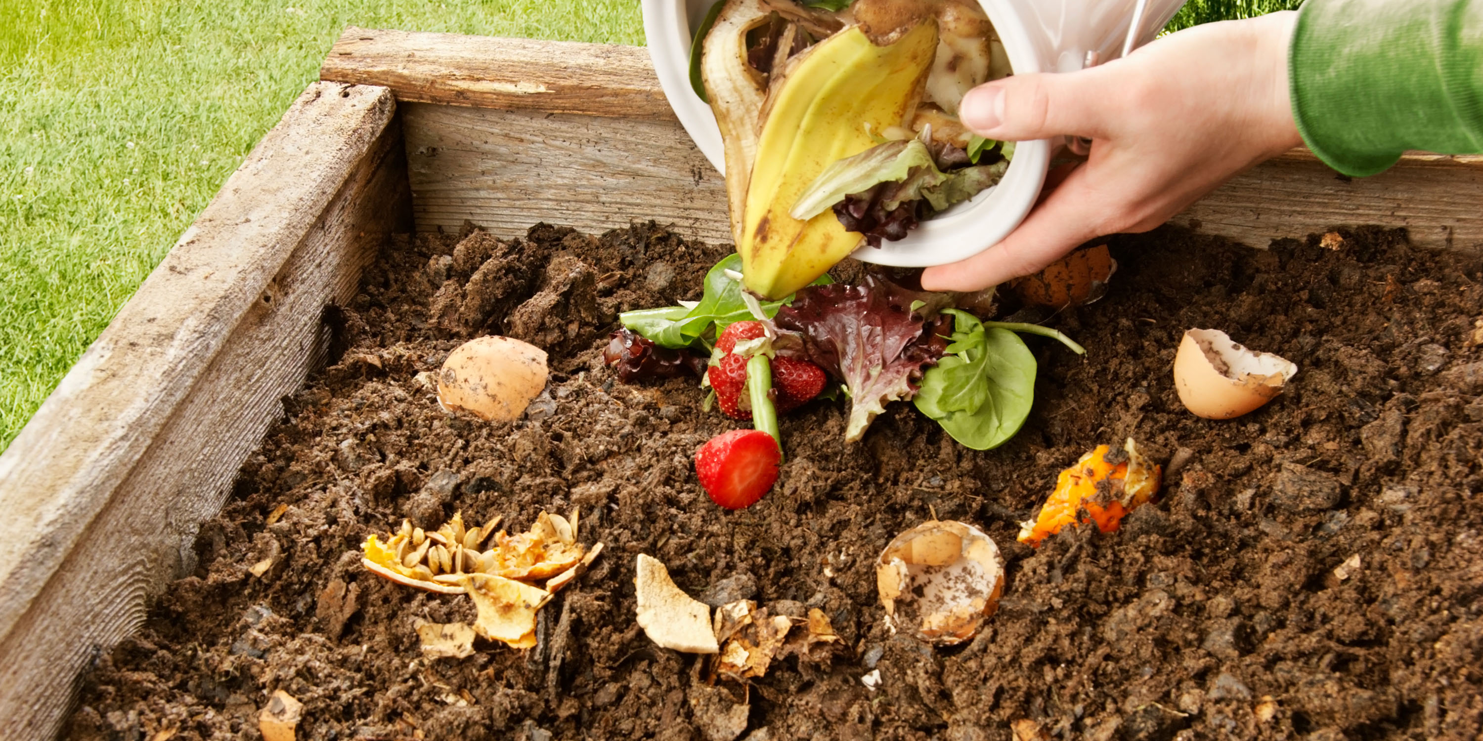 What Can Be Composted: 40+ Items to Compost or Avoid