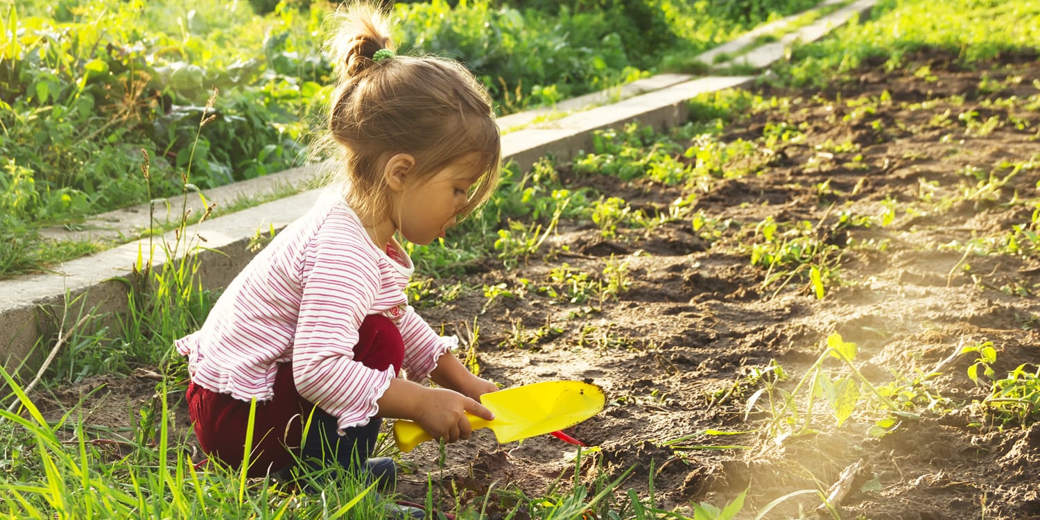 A Guide To Kids Gardening