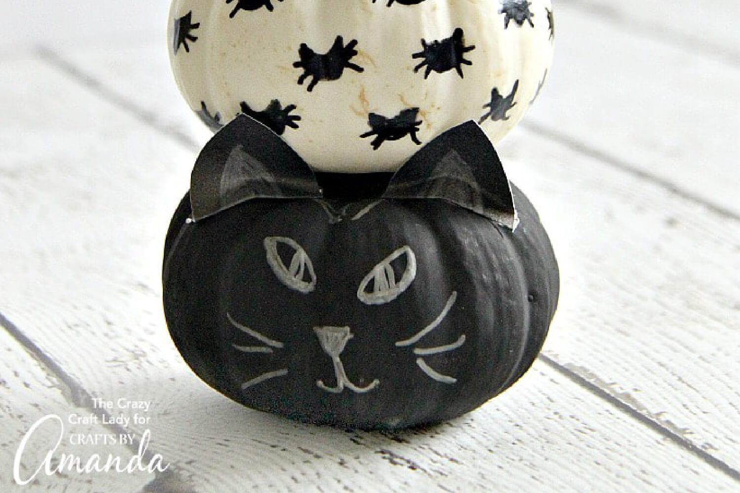 pumpkin painted like a black cat