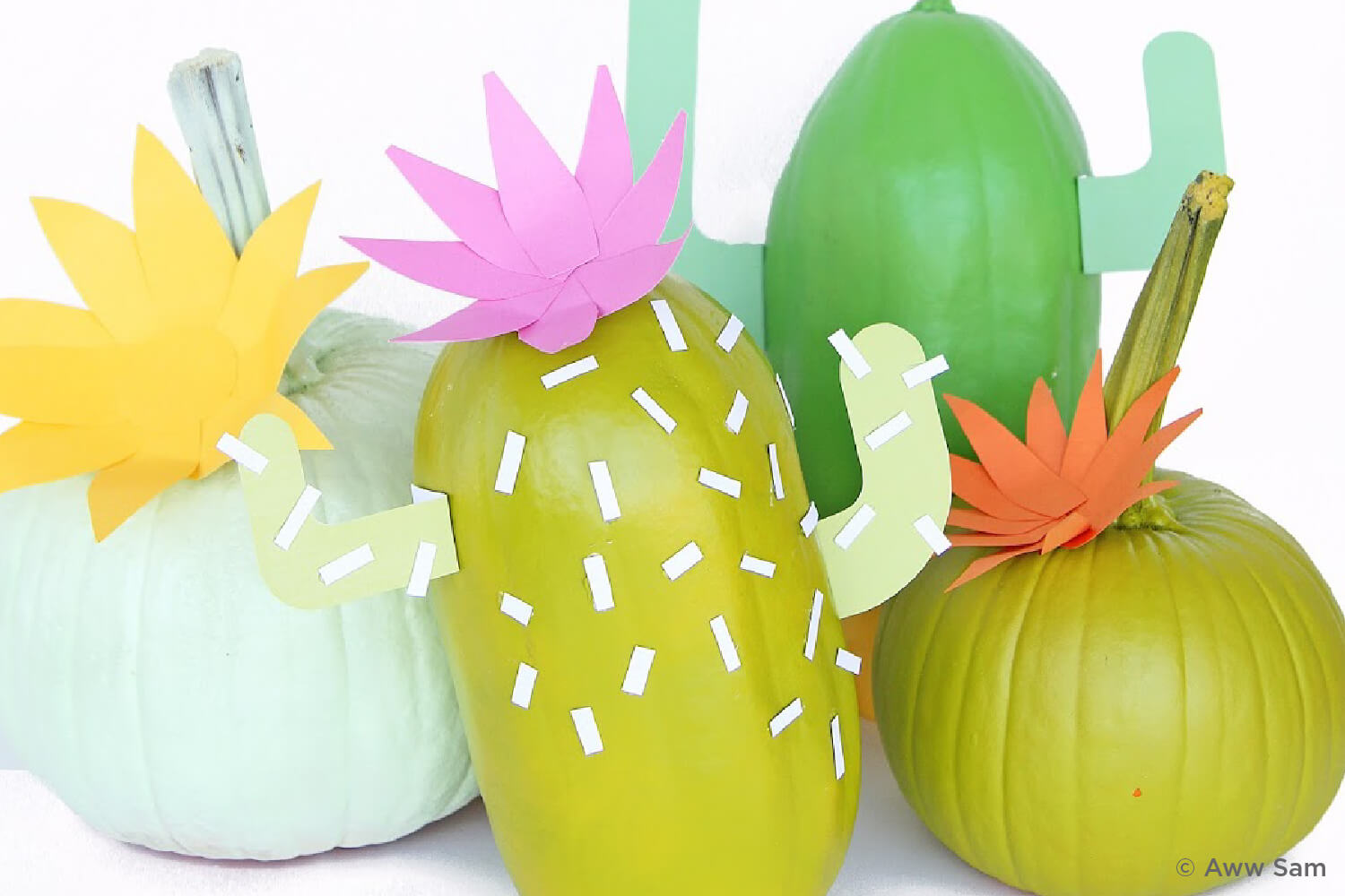pumpkins painted like cacti