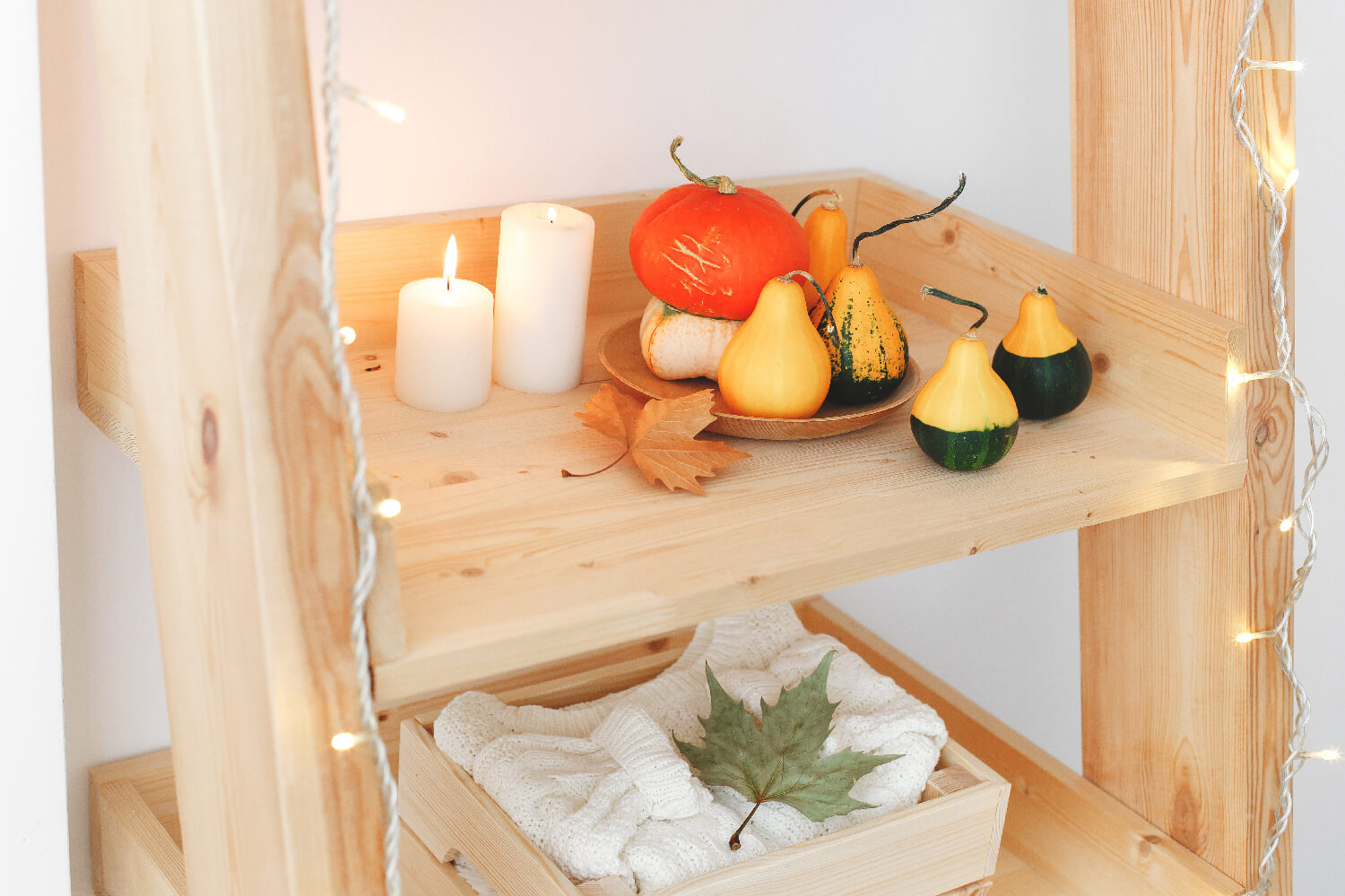pumpkins and gords on a shelf