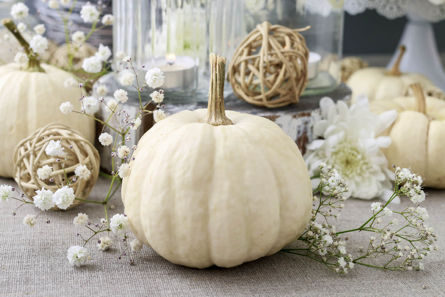 cream pumpkins on a table