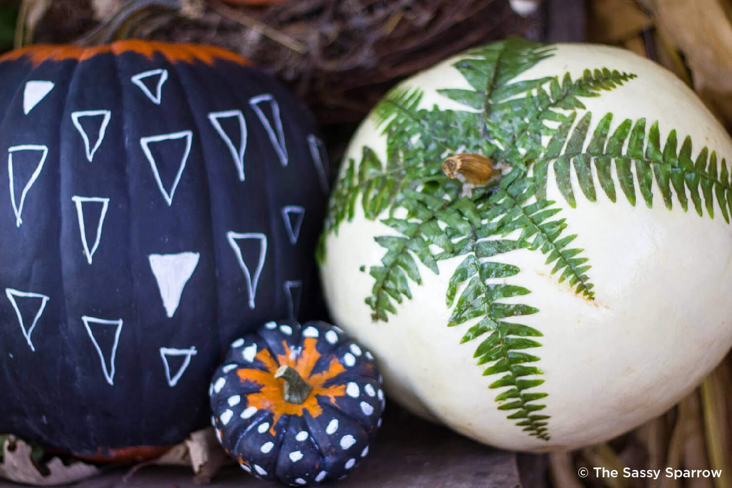 Pumpkin with plants glued to it