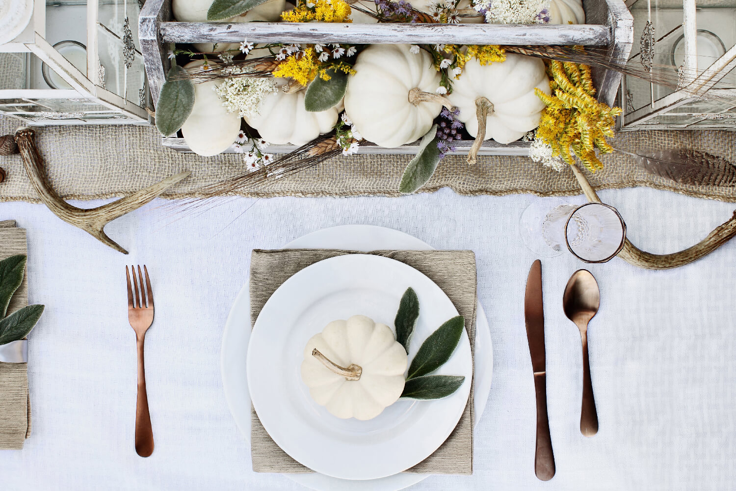 pumpkin on a dinner plate