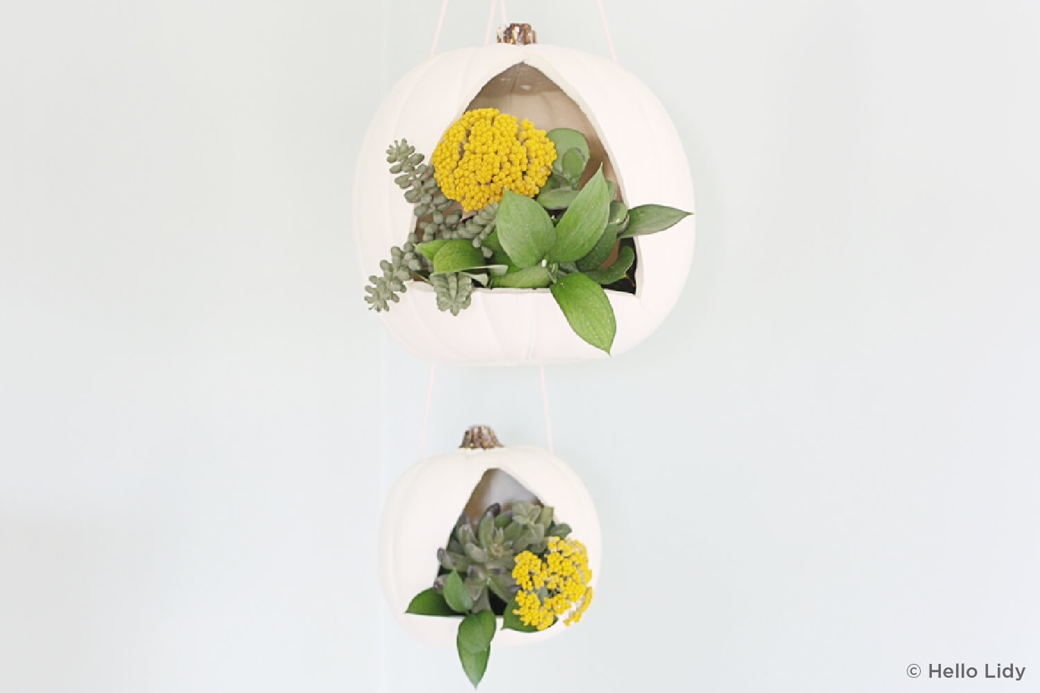 pumpkin turned into a hanging planter