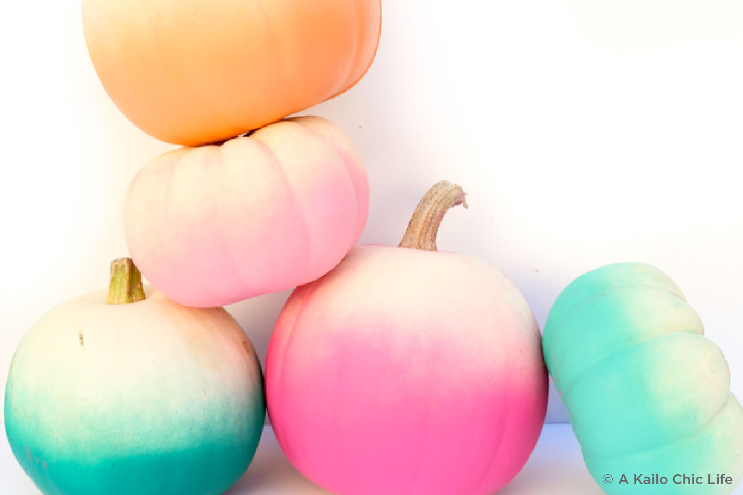 pumpkins colorfully ombred