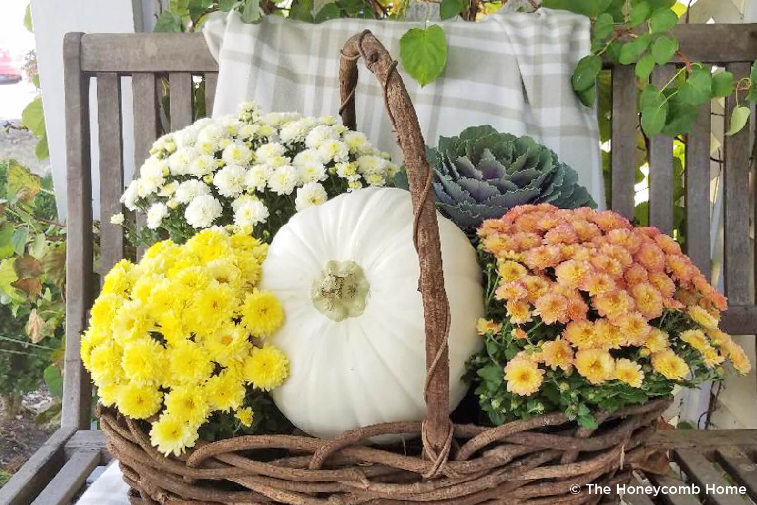 pumpkin in a basket