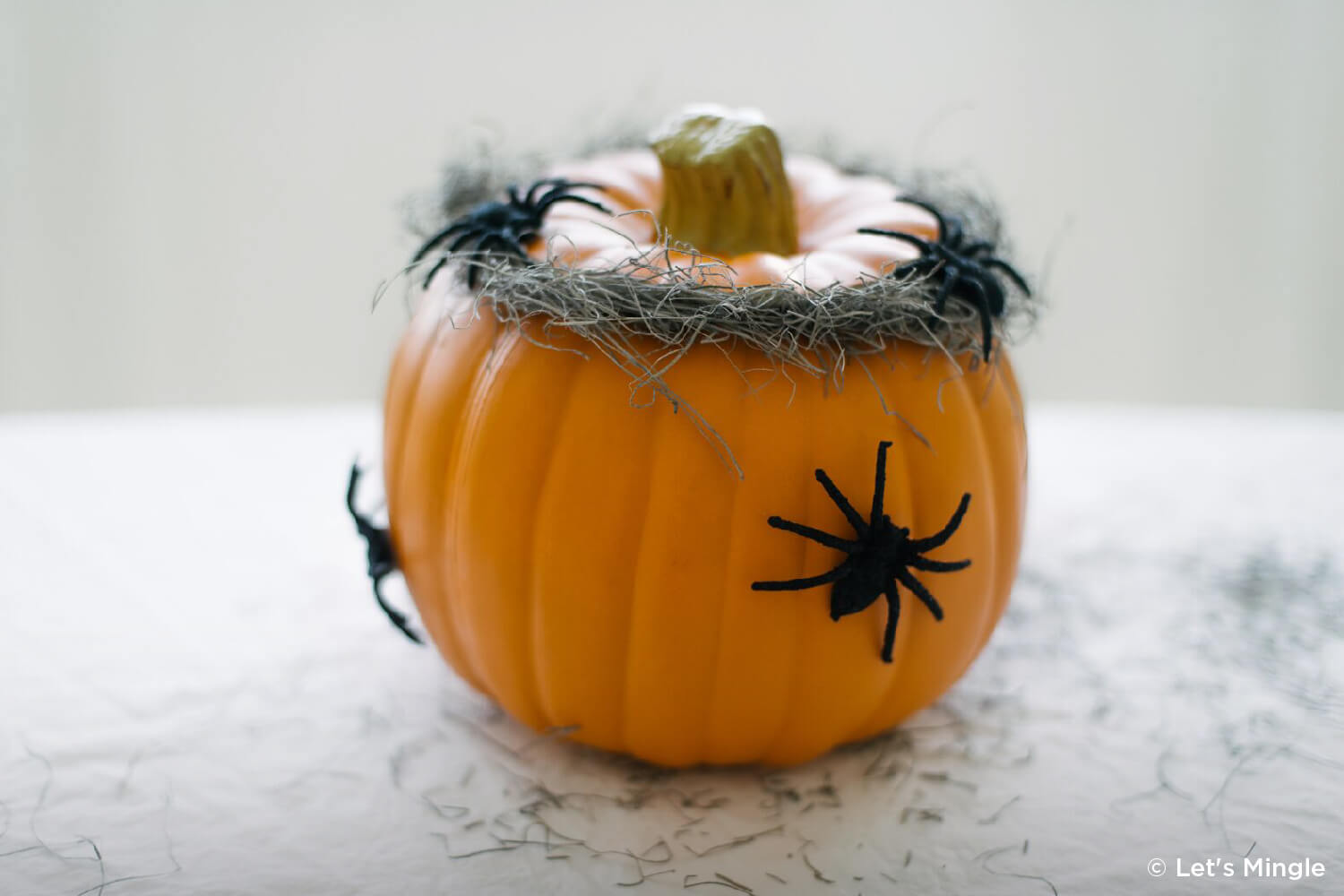 ppumpkin with spiders and cobwebs on it