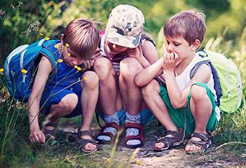 Animal Tracks to Find With Your Kids + Printable Field Guide