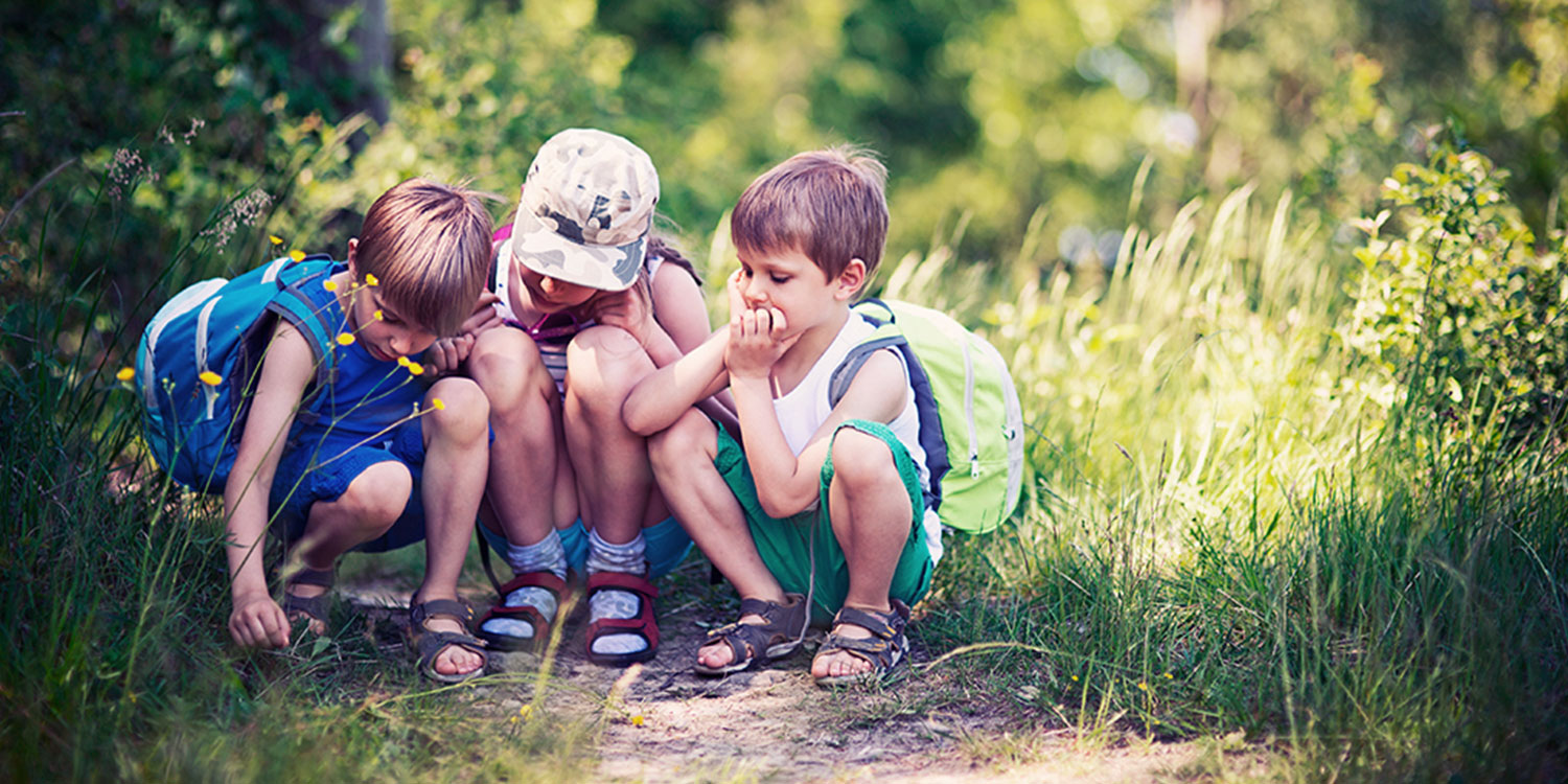 Animal Tracks to Find With Your Kids + Printable Field Guide