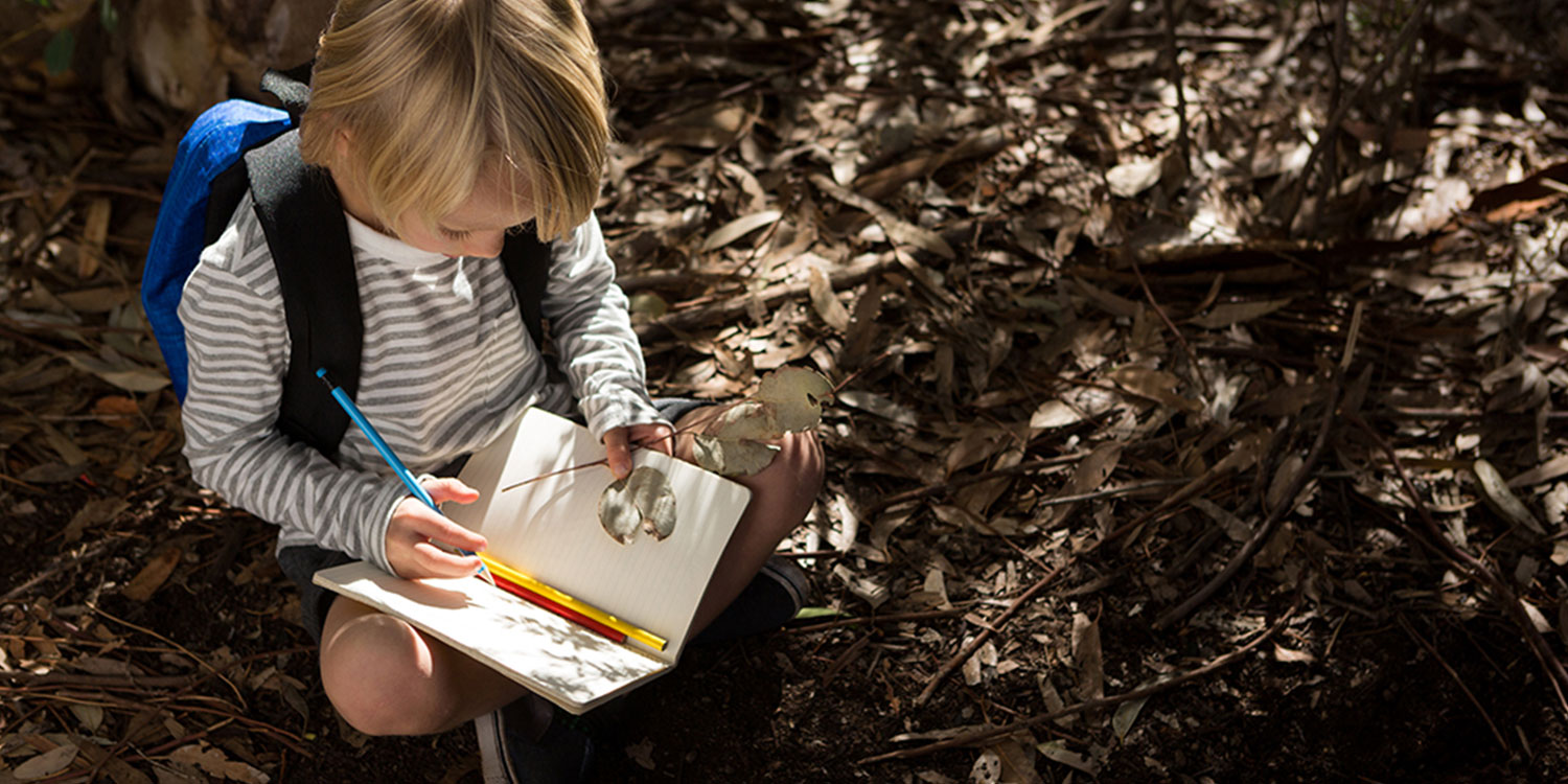 kid-reading-journal-in-forest
